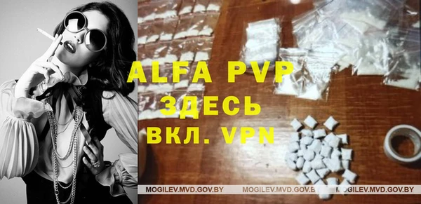 гашик Абаза