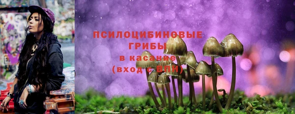 гашик Абаза